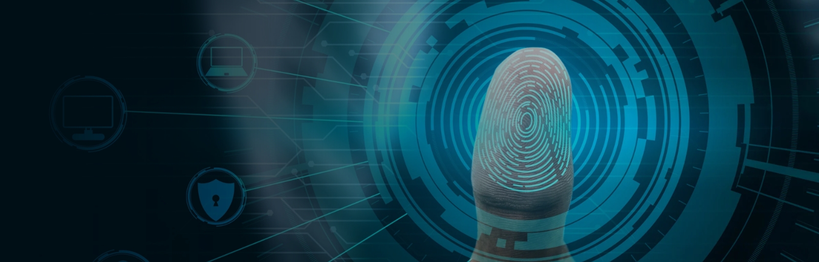 Transform Your Business with Custom Software Solutions